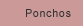 poncho